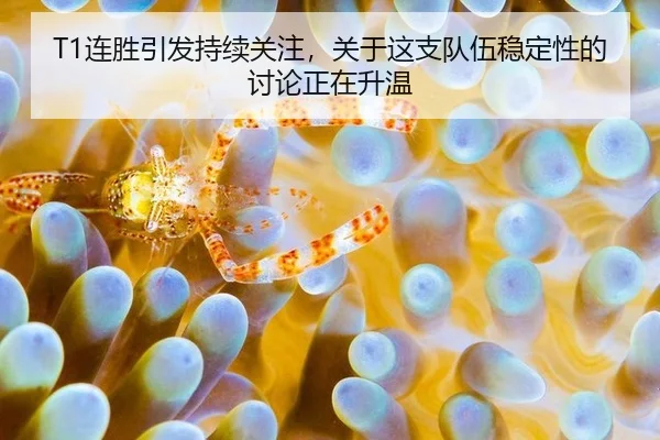 lian-sheng-yin-fa-chi-xu-guan-zhu-guan-yu-zhe-zhi-dui-wu-wen-ding-xing-de-tao-lun-zheng-zai-sheng-wen-2-438.jpg